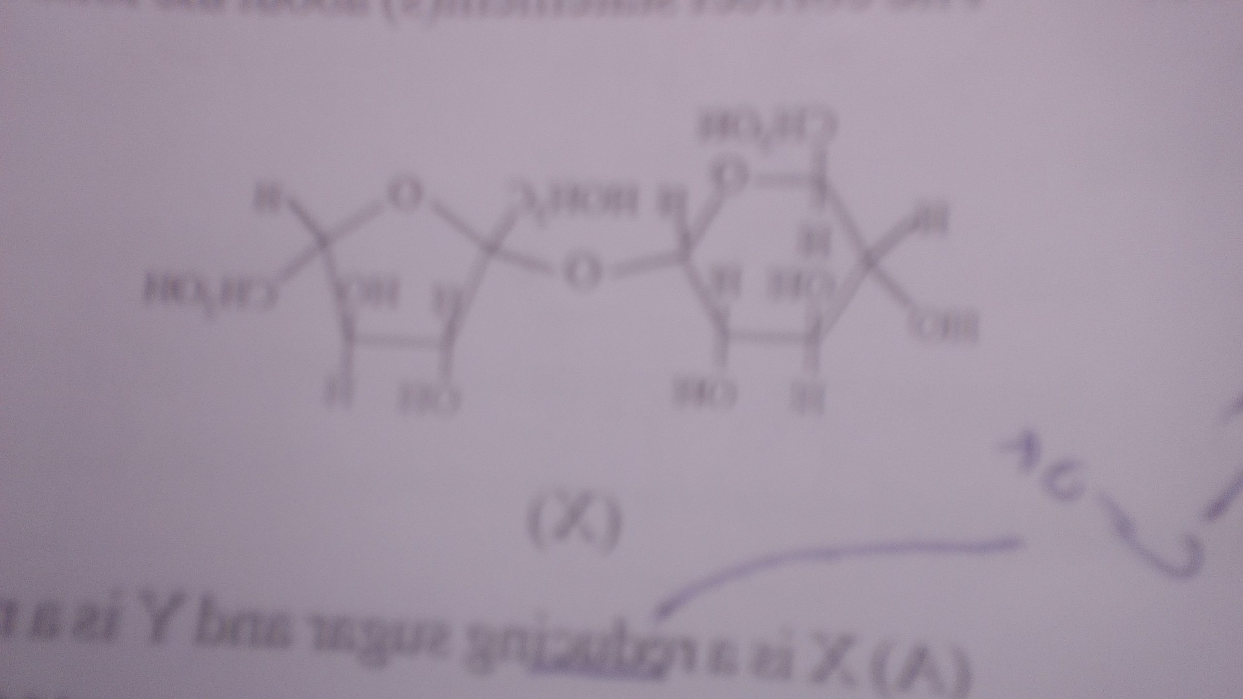 Question image for How to differentiate alpha and bita glucosidic lin